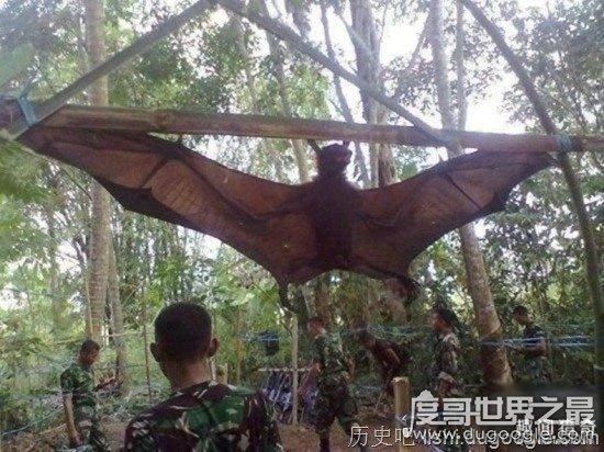 十大世界上最恐怖的动物，帝王蝎竟比眼镜蛇还可怕