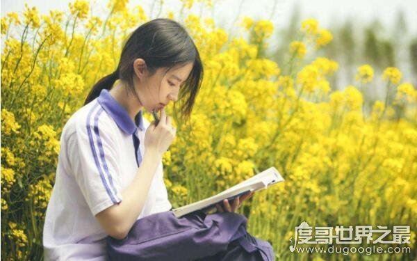 中国最美的女明星第一名，被誉为神仙姐姐（刘亦菲）