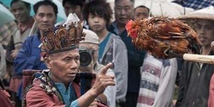 揭秘湘西定鸡术原理，鸡特有的器官特征导致