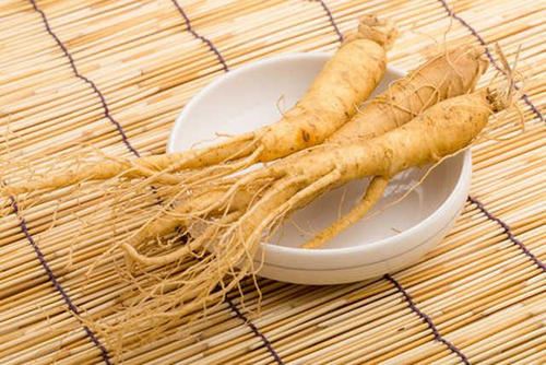 世界上最老的人参,看一眼都感觉神清气爽(延年益寿)