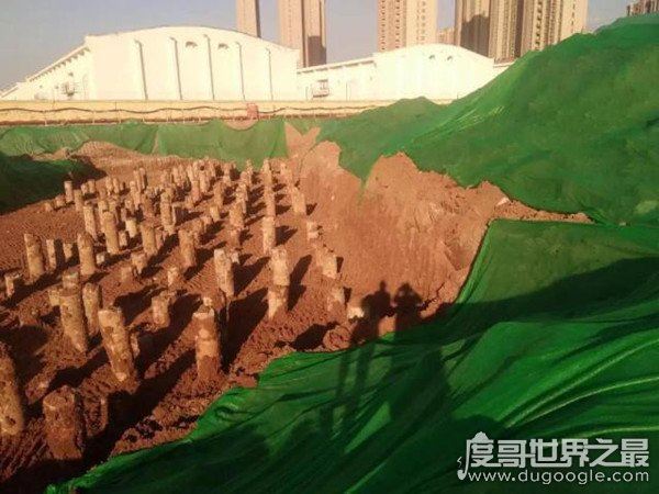 宫保鸡丁发明人墓被发现，晚清名臣丁宝桢沉眠济南