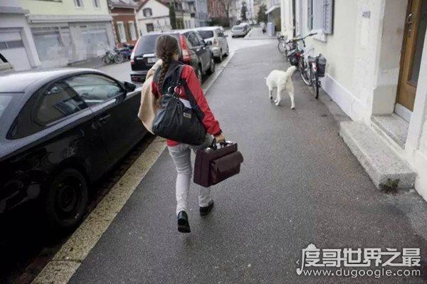 安乐死是什么药，是一种能让人没有痛苦死去的药