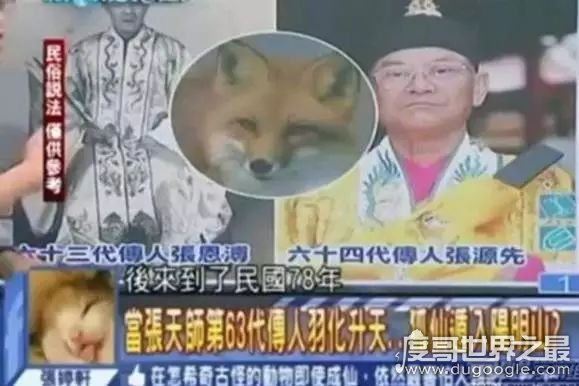 81年香港温莎大厦狐仙事件真相，狐仙事件回顾(传闻而已)