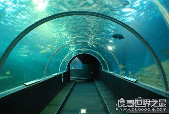 世界上最长的海底隧道,大连烟台海底隧道全长123公里