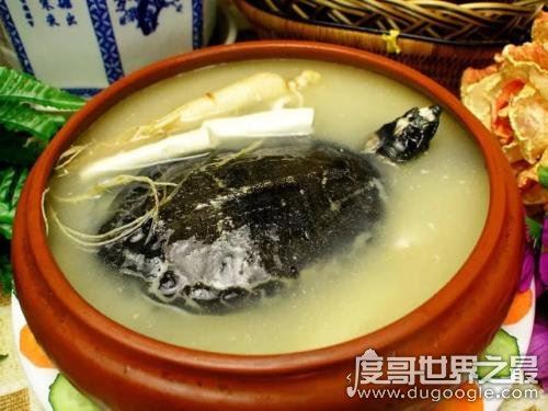 中国十大禁菜,浇驴肉残忍程度排名第一(活吃猴脑也在列)