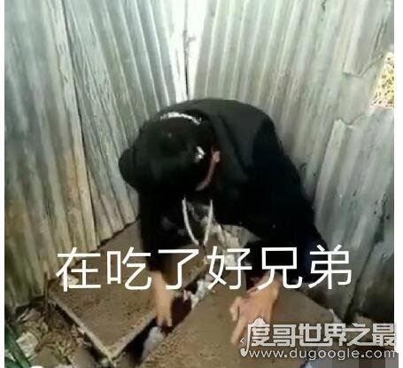 快手岛市老八吃粑粑是啥情况？直播吃屎震惊网友(引来众多争议)