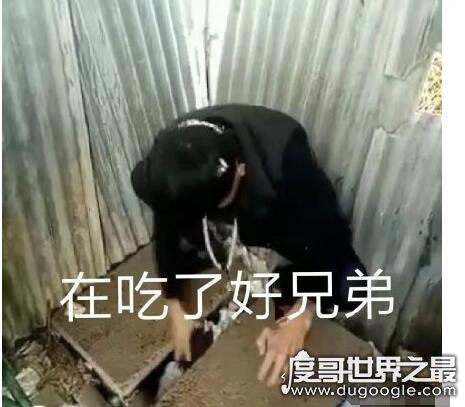 快手岛市老八吃粑粑是啥情况？直播吃屎震惊网友(引来众多争议)