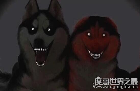 smile.jpg微笑狗是什么，恐怖图片微笑狗为什么吓人