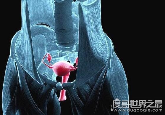 什么是石女,先天无阴道不能性交的女子(18岁没月经就要注意了)