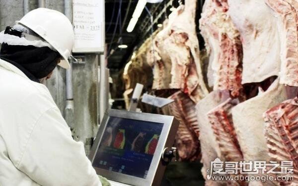 据传为外星人袭击，屠牛事件真相揭秘（或与核试验有关）