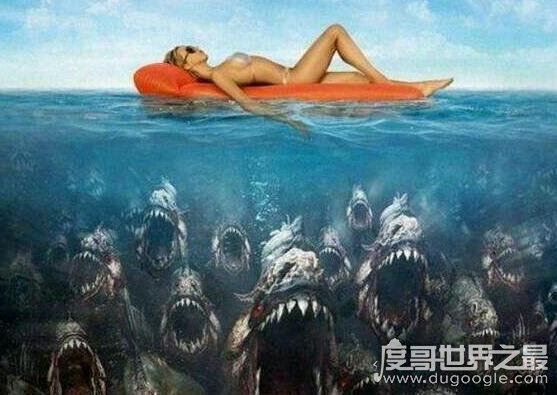 深海100000米以下生物超恐怖,在高压下的生物样貌非常奇怪