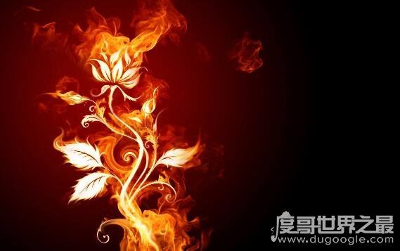 斗破苍穹异火排行榜，排名第一的帝炎吞噬22种异火融合而成