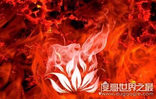 斗破苍穹异火排行榜，排名第一的帝炎吞噬22种异火融合而成