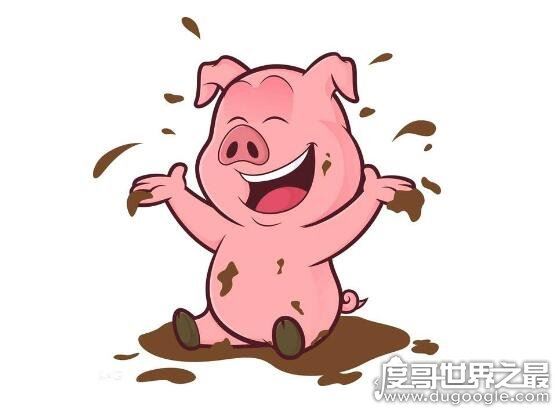 十猪九苦1983,详解猪年不同月份出生的运势