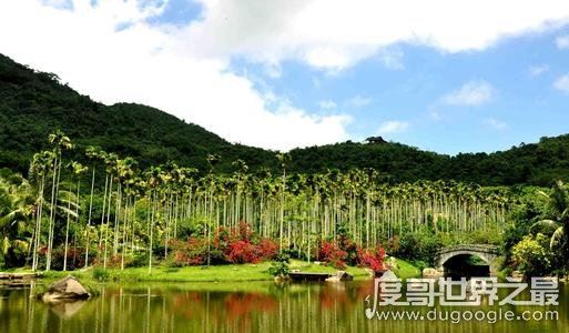 中国最大的省是哪个省，海南省(海陆面积共203.5万平方公里)