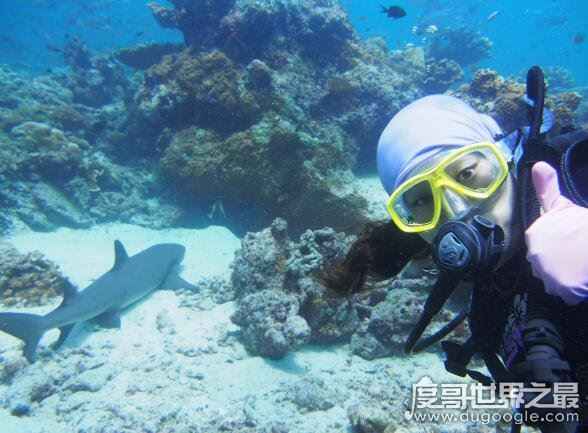 潜水胜地仙本那在哪里，它是马来西亚沙巴州东海岸的一个县