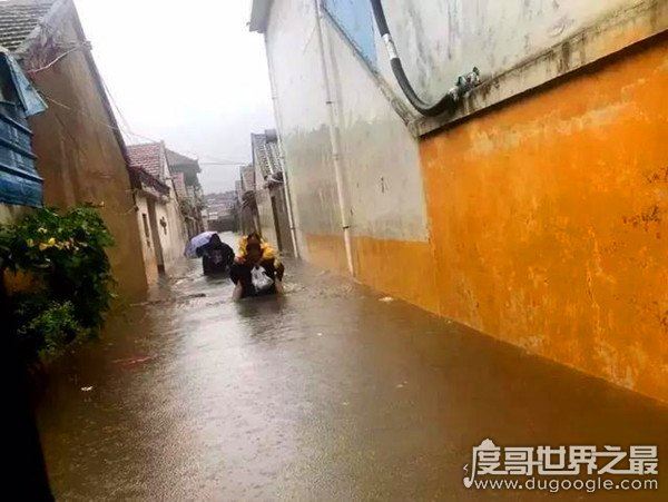 浙江辅警救人牺牲，被救人员竟然是因为捞鱼而落入水中