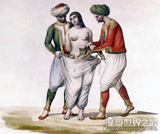 如懿传阿箬猫刑是怎样的酷刑,扒光衣服让猫抓咬(专门针对女性)