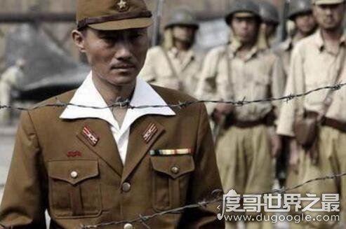 详解日本军衔等级划分，大元帅为最高统帅衔(授予天皇)