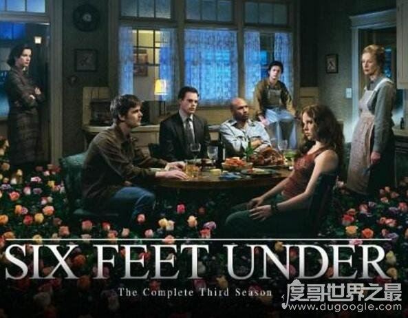 网友眼中的大尺度美剧排行榜前十名，《无耻之徒》呼声最高