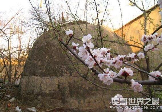 真实的和珅墓在哪?他斥巨资修建的和陵并没有机会住进去
