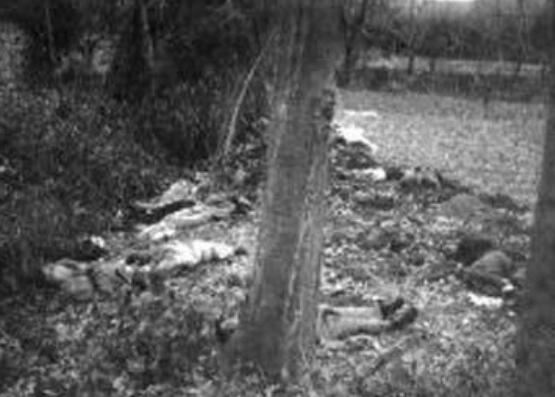 香港雨夜屠夫林过云杀人成瘾，奸杀后竟肢解肢体做标本