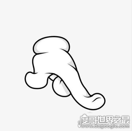 手掌上的食指是哪个,大拇指旁的一根就是食指(五个指头名称)