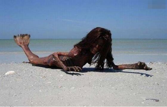 揭秘儒艮为什么叫美人鱼，儒艮图片欣赏(美人鱼真的存在)