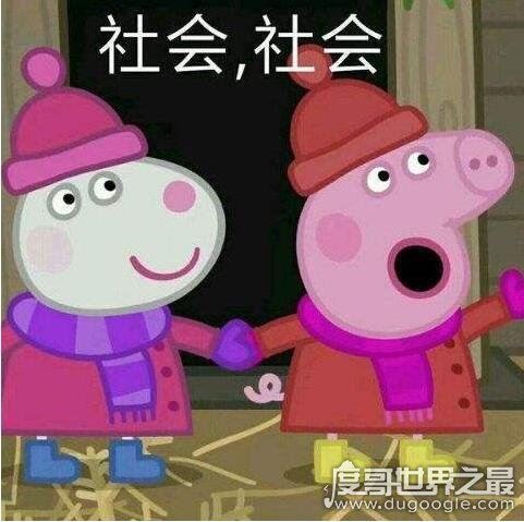 小猪佩奇社会人是什么意思,非主流文化很low的意思