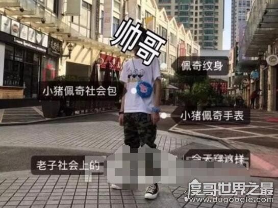 小猪佩奇社会人是什么意思，非主流文化很low的意思