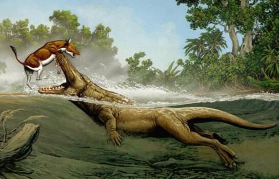 海洋中最原始的鲸，5000万年前原鲸长有脚趾