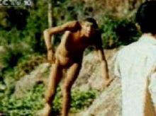 神农架深处为何进不去，其实是多重原因的影响（生态问题）