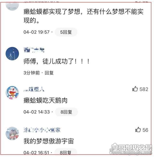癞蛤嫫吃天鹅照片，网友用来表白女友(屡试不爽)