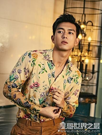 李现12厘米说的是啥，李现微博原名“李现ing12厘米”(别想歪了)