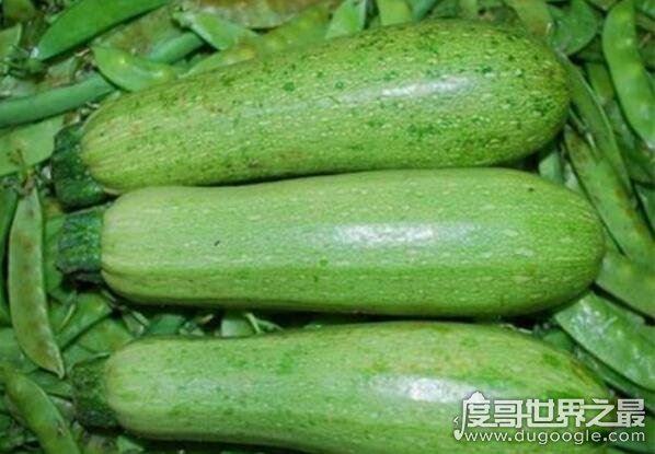 为什么没有北瓜，西葫芦即是北瓜(北瓜是地方概念/西葫芦是学名)