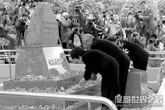 震惊世界的日本水俣病事件,是最早出现的公害病