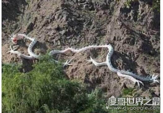 走蛟是什么意思，就是指蛟化龙的过程(它们通常在山洪暴发是出现)