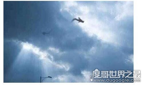 走蛟是什么意思，就是指蛟化龙的过程(它们通常在山洪暴发是出现)