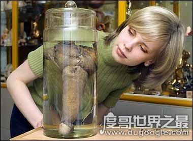 吉尼斯性记录世界之最,你不知道的情爱记录大全