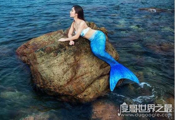 美人鱼是什么动物,一般认为儒艮或海牛是美人鱼的生物原型