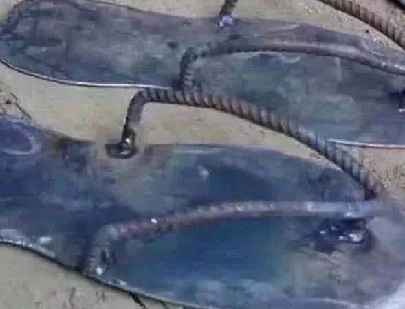 一张图片证明你特别穷，看到图六网友惊呼：原来这才是穷(铁制凉拖)