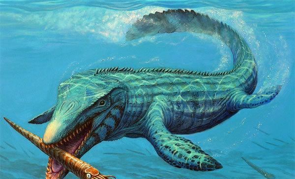 世界上咬合力最强的鲸鱼，龙王鲸可摧毁超过1600公斤重的头颅(已绝种)