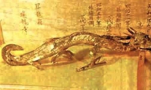 松花江坠龙事件，1944年的天降黑龙是真是假（真相考证）