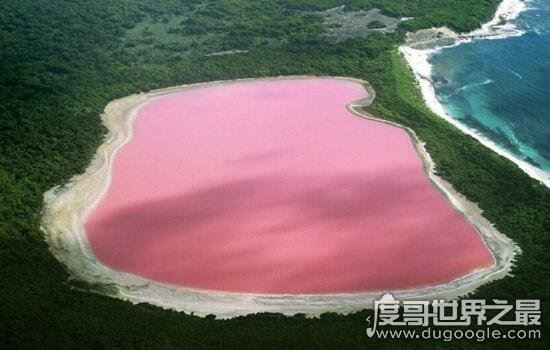 希勒湖为什么是粉色的,盘点世界各地的粉红湖泊