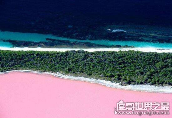 希勒湖为什么是粉色的，盘点世界各地的粉红湖泊