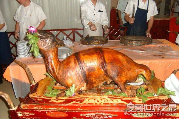 中国十大禁菜之活吃猴脑,往猴头内倒滚油(搅拌即食)
