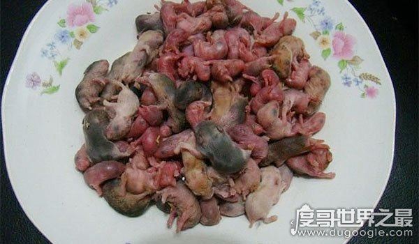 中国十大禁菜之活吃猴脑，往猴头内倒滚油(搅拌即食)