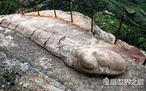 1965年黄河巨蛇事件，曾活吞数人（骇人听闻的事件）