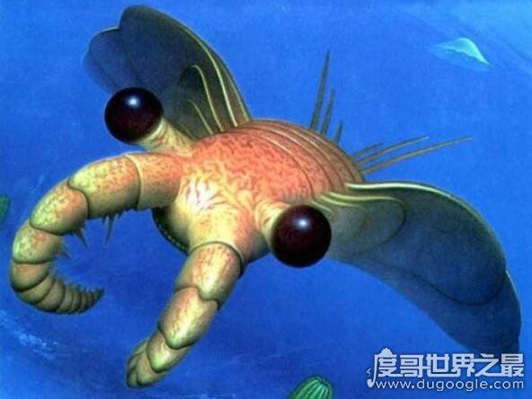 十大远古最恐怖的动物，史前动物界中最凶猛的10大霸主