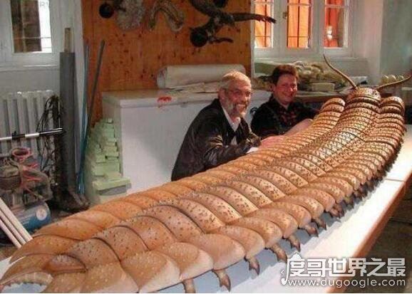 十大远古最恐怖的动物，史前动物界中最凶猛的10大霸主